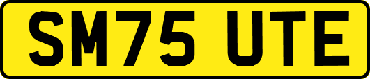 SM75UTE