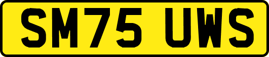 SM75UWS