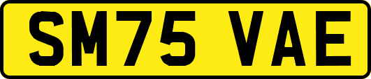 SM75VAE