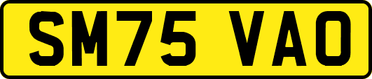 SM75VAO