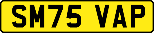 SM75VAP
