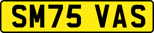 SM75VAS