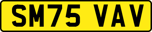 SM75VAV