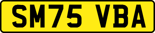 SM75VBA