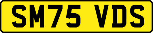 SM75VDS