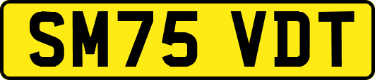 SM75VDT