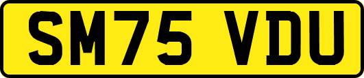 SM75VDU