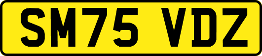 SM75VDZ