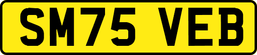 SM75VEB
