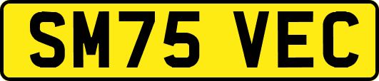 SM75VEC