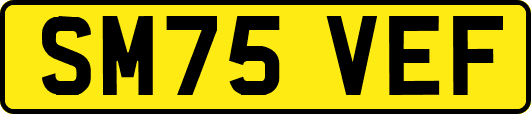 SM75VEF