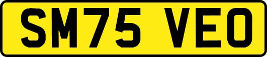 SM75VEO