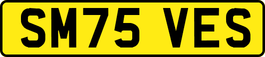 SM75VES