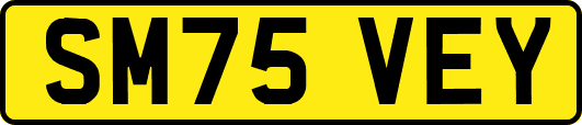 SM75VEY