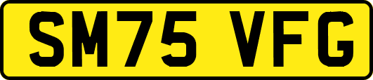 SM75VFG