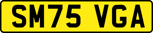 SM75VGA