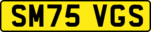 SM75VGS