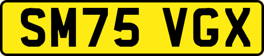 SM75VGX