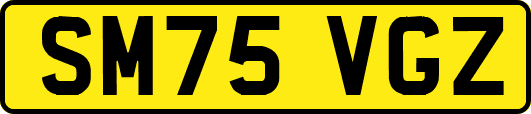 SM75VGZ