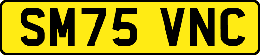 SM75VNC