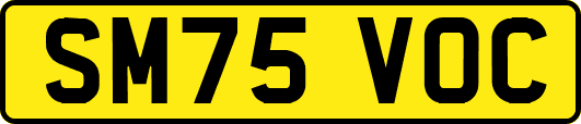 SM75VOC