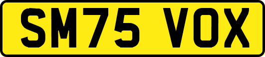 SM75VOX