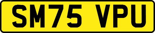SM75VPU