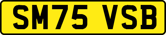 SM75VSB