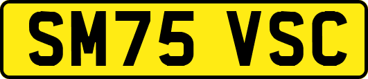 SM75VSC