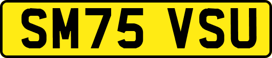 SM75VSU