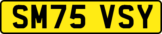 SM75VSY