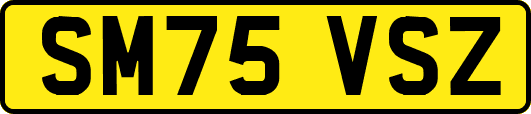 SM75VSZ