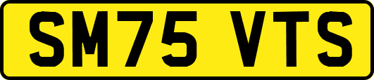 SM75VTS