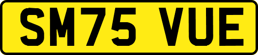 SM75VUE