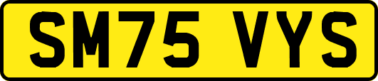 SM75VYS