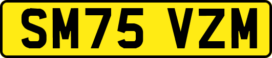 SM75VZM