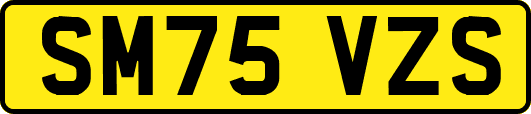 SM75VZS