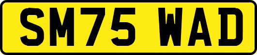 SM75WAD