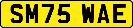 SM75WAE