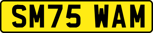 SM75WAM