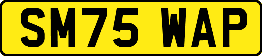 SM75WAP