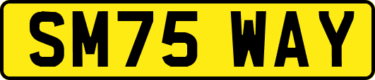 SM75WAY