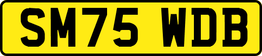 SM75WDB