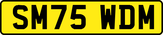 SM75WDM
