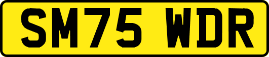 SM75WDR