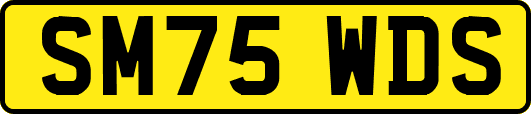 SM75WDS