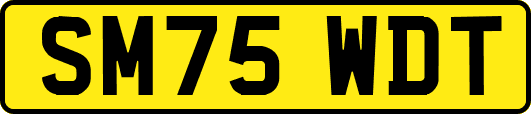 SM75WDT