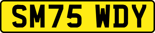 SM75WDY