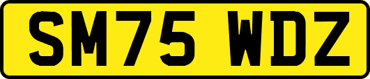 SM75WDZ