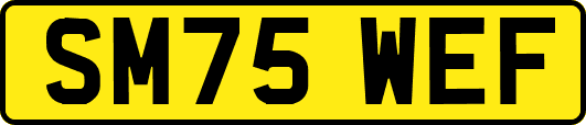 SM75WEF